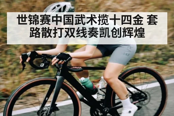 世锦赛中国武术揽十四金 套路散打双线奏凯创辉煌