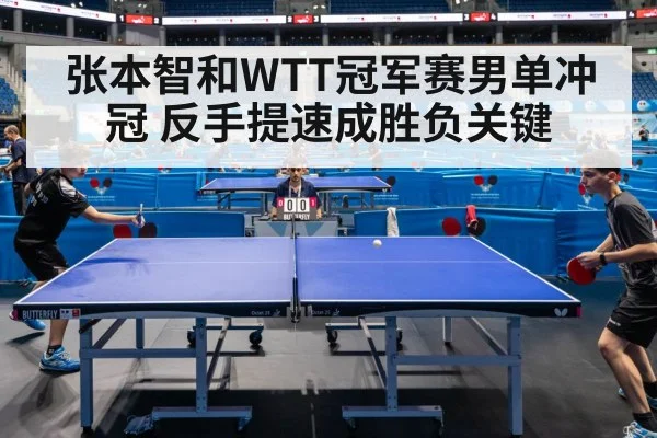 table tennis championship arena
